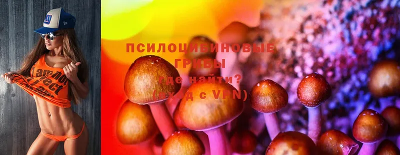 Псилоцибиновые грибы MAGIC MUSHROOMS  Алушта 